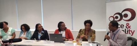 Panel de Violencia Violencia Racial y de Género - Foro Permanente de las Naciones Unidad sobre Afrodescendientes