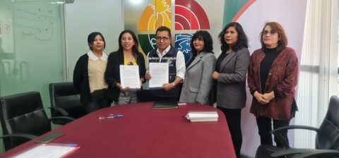 Alianzas Estrategicas en Bolivia